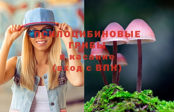 твердый Алзамай