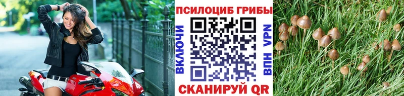 Галлюциногенные грибы прущие грибы  где можно купить   гидра зеркало  Яблоновский 